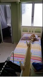 Blk 407 Sin Ming Garden (Bishan), HDB 3 Rooms #555212821